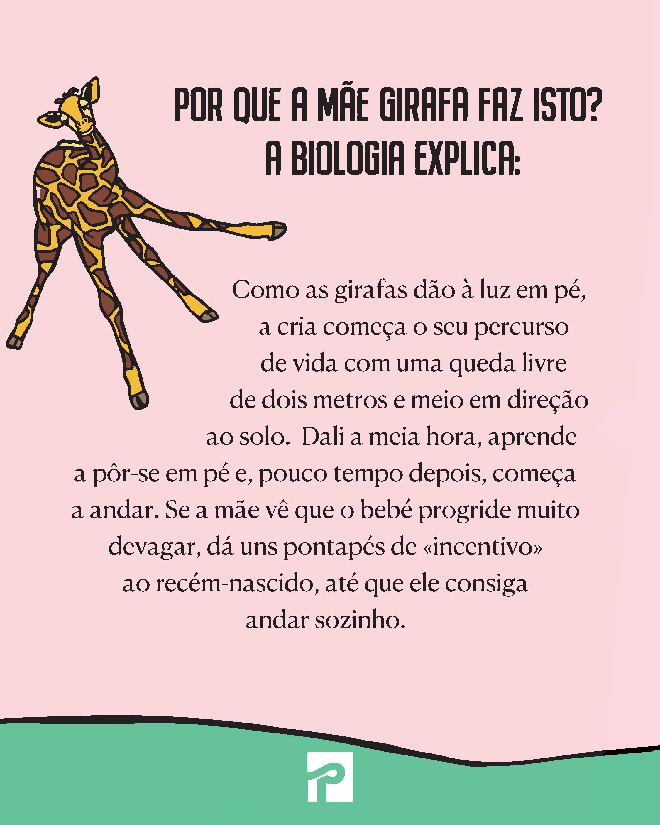 Imagem do produto 3